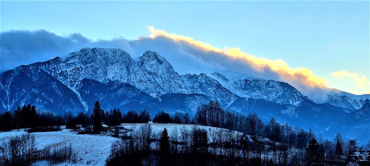 Domek Jelonek Bachledzki Wierch Zakopane Exterior foto